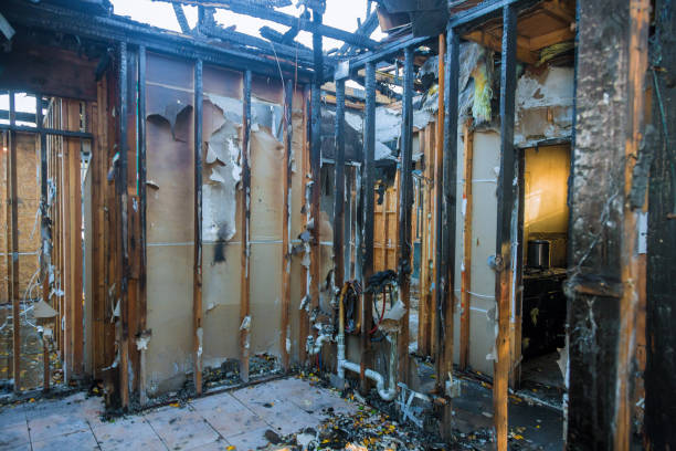 Professional Structural Rebuild technician working in Dassel, MN