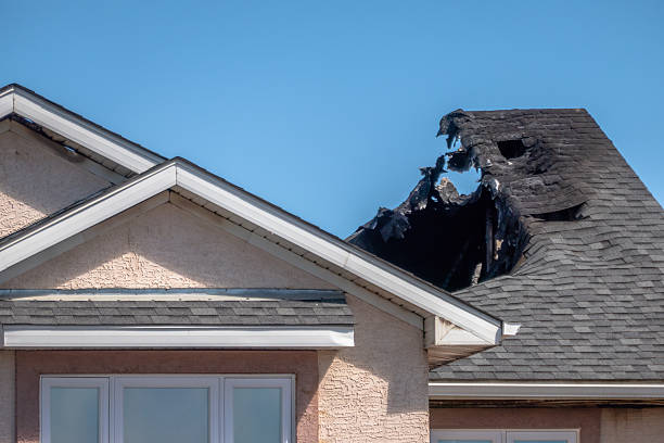 Top rated local Structural Rebuild specialists in Dassel, MN